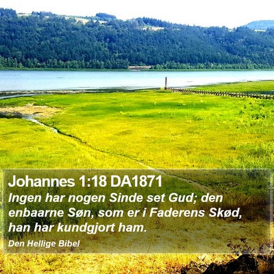 Johannes 1:18 DA1871 Bible Verse Image