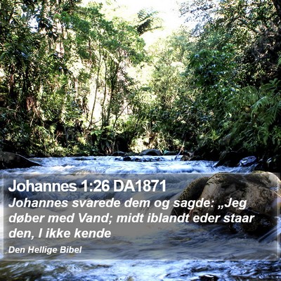 Johannes 1:26 DA1871 Bible Verse Image