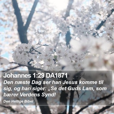 Johannes 1:29 DA1871 Bible Verse Image