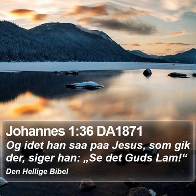 Johannes 1:36 DA1871 Bible Verse Image