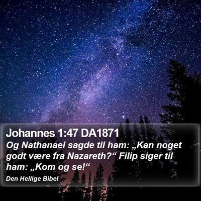 Johannes 1:47 DA1871 Bible Verse Image