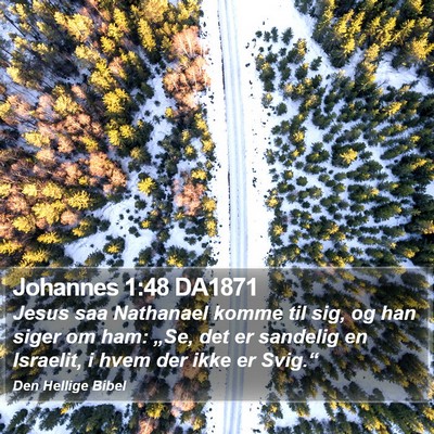 Johannes 1:48 DA1871 Bible Verse Image