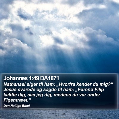 Johannes 1:49 DA1871 Bible Verse Image
