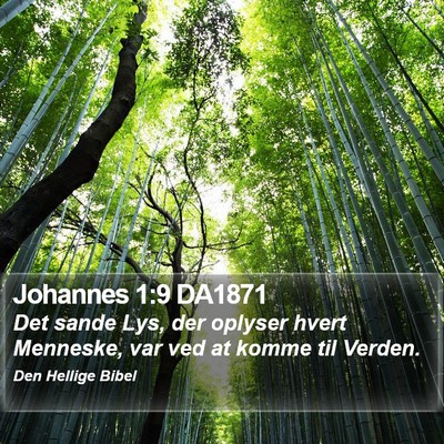 Johannes 1:9 DA1871 Bible Verse Image