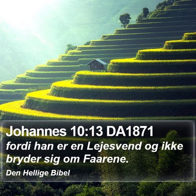 Johannes 10:13 DA1871 Bible Verse Image