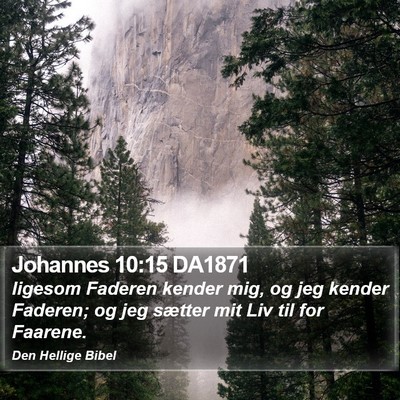 Johannes 10:15 DA1871 Bible Verse Image
