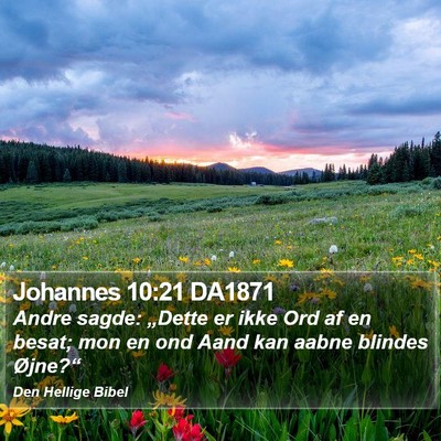 Johannes 10:21 DA1871 Bible Verse Image