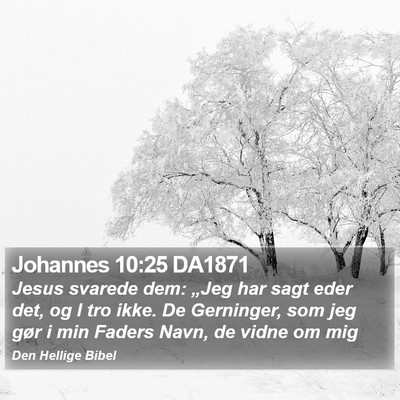 Johannes 10:25 DA1871 Bible Verse Image