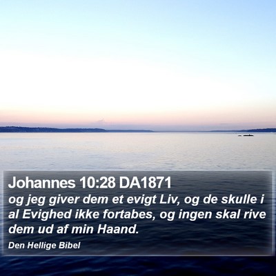 Johannes 10:28 DA1871 Bible Verse Image