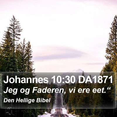 Johannes 10:30 DA1871 Bible Verse Image
