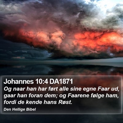 Johannes 10:4 DA1871 Bible Verse Image