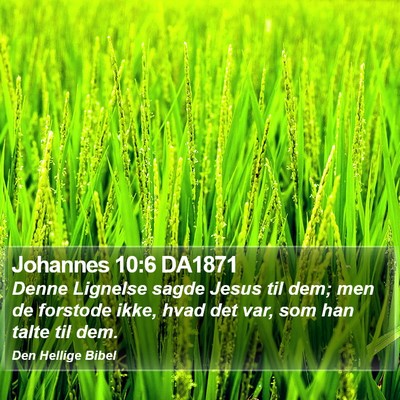 Johannes 10:6 DA1871 Bible Verse Image