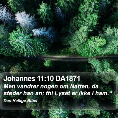 Johannes 11:10 DA1871 Bible Verse Image