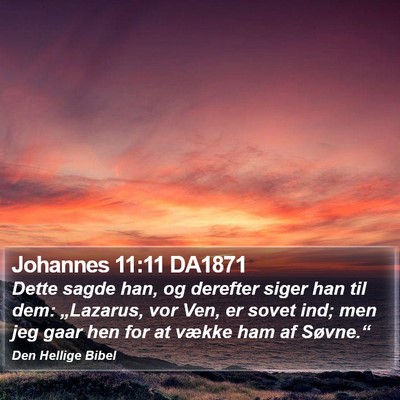 Johannes 11:11 DA1871 Bible Verse Image