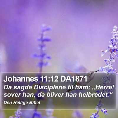 Johannes 11:12 DA1871 Bible Verse Image
