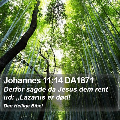 Johannes 11:14 DA1871 Bible Verse Image