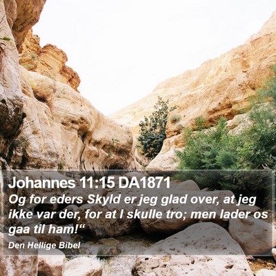 Johannes 11:15 DA1871 Bible Verse Image