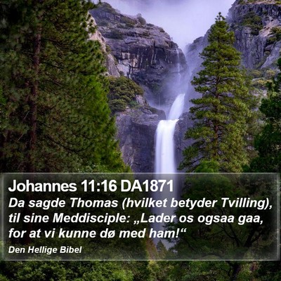 Johannes 11:16 DA1871 Bible Verse Image