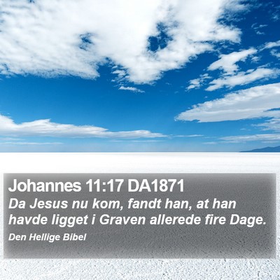 Johannes 11:17 DA1871 Bible Verse Image