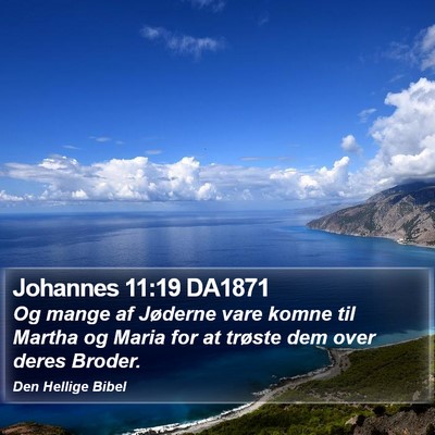 Johannes 11:19 DA1871 Bible Verse Image