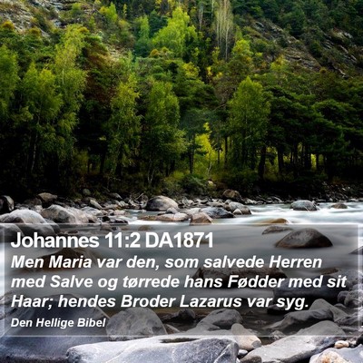 Johannes 11:2 DA1871 Bible Verse Image