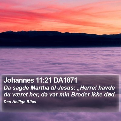 Johannes 11:21 DA1871 Bible Verse Image
