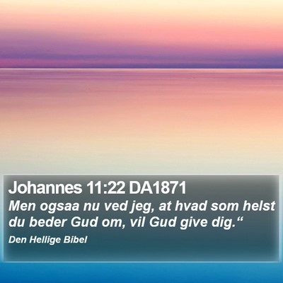 Johannes 11:22 DA1871 Bible Verse Image