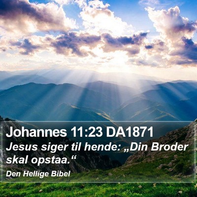 Johannes 11:23 DA1871 Bible Verse Image