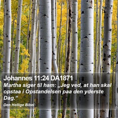Johannes 11:24 DA1871 Bible Verse Image