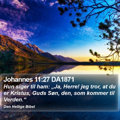 Johannes 11:27 DA1871 Bible Verse Image