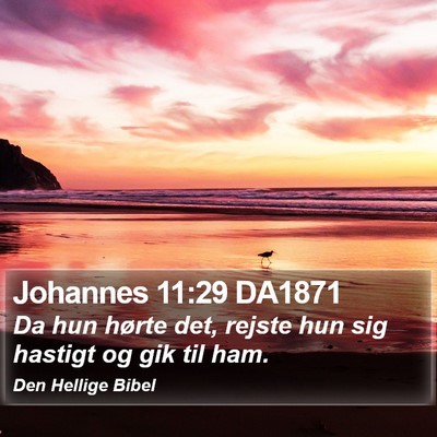 Johannes 11:29 DA1871 Bible Verse Image