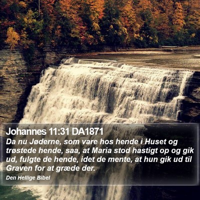 Johannes 11:31 DA1871 Bible Verse Image