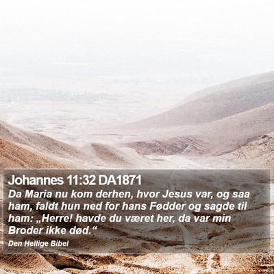 Johannes 11:32 DA1871 Bible Verse Image