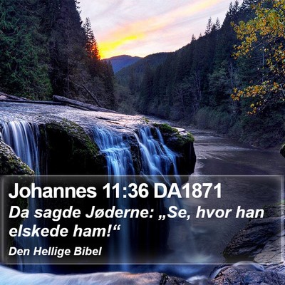 Johannes 11:36 DA1871 Bible Verse Image