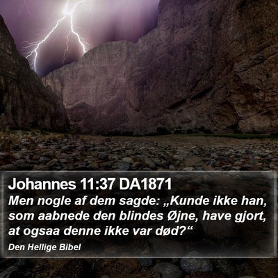 Johannes 11:37 DA1871 Bible Verse Image
