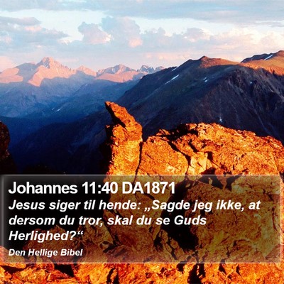 Johannes 11:40 DA1871 Bible Verse Image