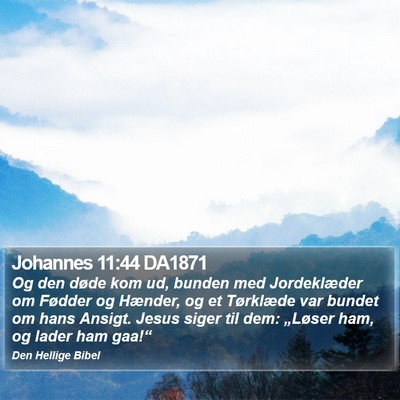 Johannes 11:44 DA1871 Bible Verse Image