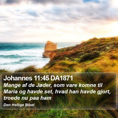 Johannes 11:45 DA1871 Bible Verse Image
