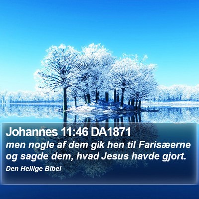 Johannes 11:46 DA1871 Bible Verse Image