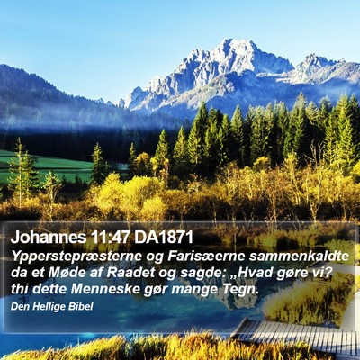 Johannes 11:47 DA1871 Bible Verse Image