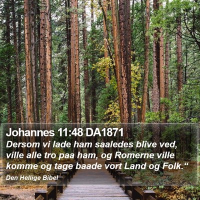 Johannes 11:48 DA1871 Bible Verse Image