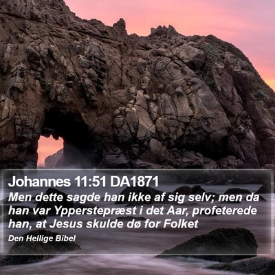 Johannes 11:51 DA1871 Bible Verse Image