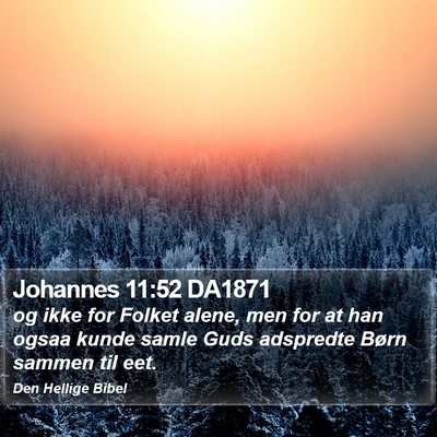 Johannes 11:52 DA1871 Bible Verse Image
