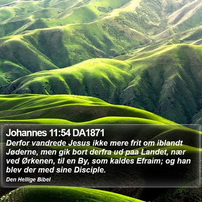 Johannes 11:54 DA1871 Bible Verse Image