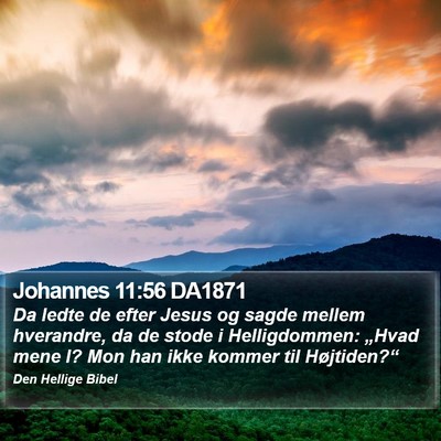 Johannes 11:56 DA1871 Bible Verse Image