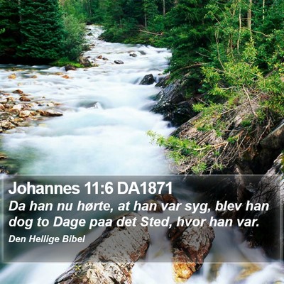 Johannes 11:6 DA1871 Bible Verse Image