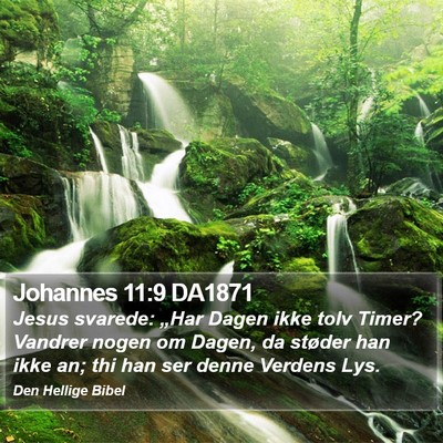 Johannes 11:9 DA1871 Bible Verse Image