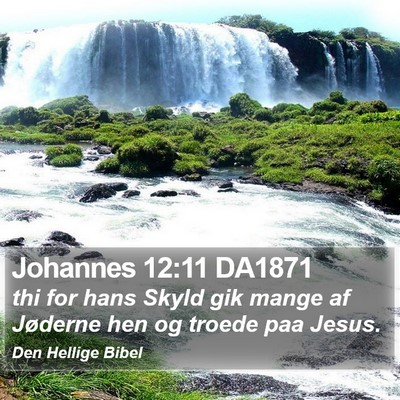 Johannes 12:11 DA1871 Bible Verse Image