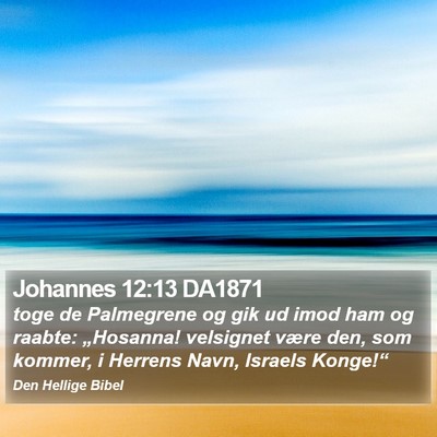 Johannes 12:13 DA1871 Bible Verse Image