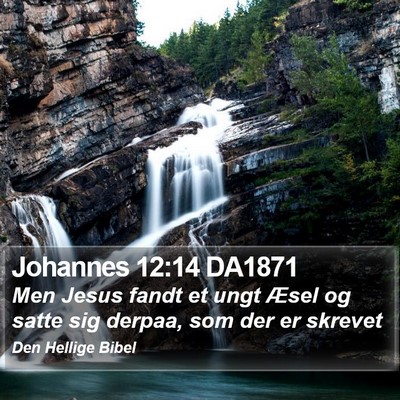 Johannes 12:14 DA1871 Bible Verse Image